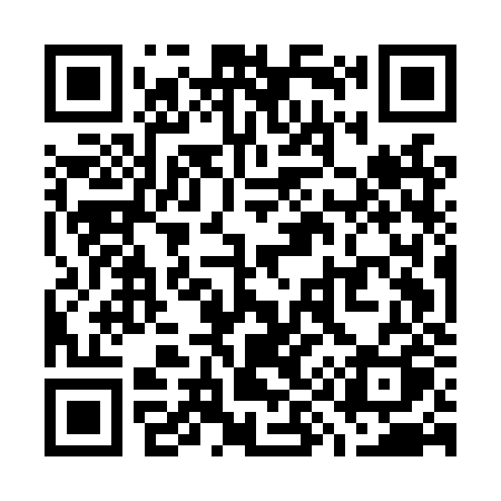 QR code for W95LZQ