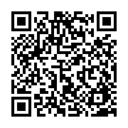 QR code for W95MZG