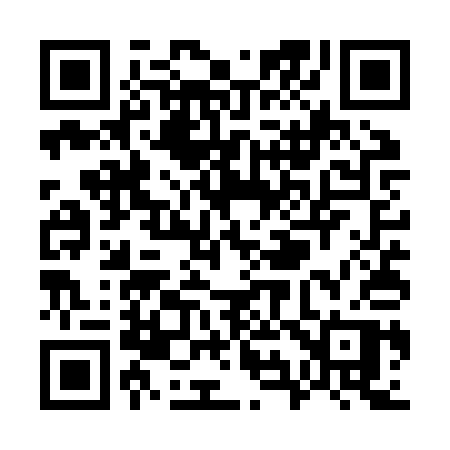 QR code for W95ZQP