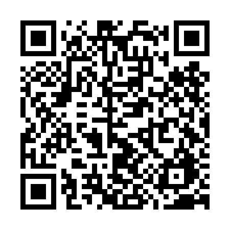 QR code for W96DBG