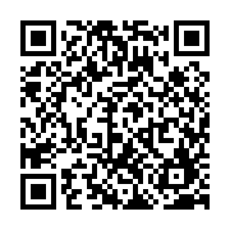 QR code for WGI11F