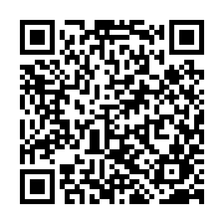 QR code for WLU29N
