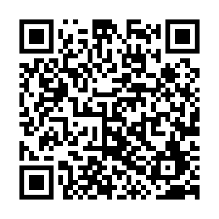 QR code for WPL13F