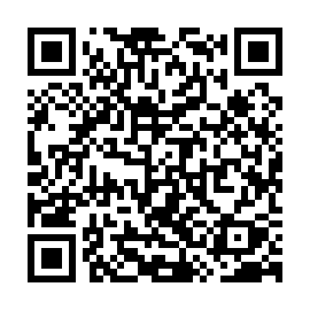 QR code for WSI13Y