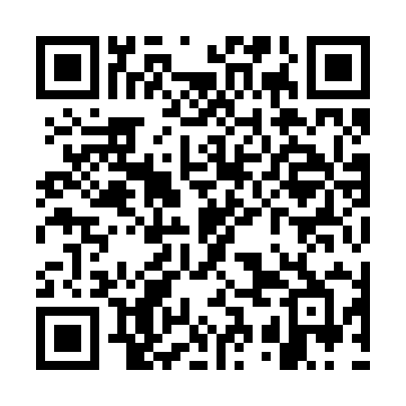 QR code for WSI29B