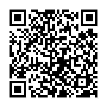 QR code for WSI63C
