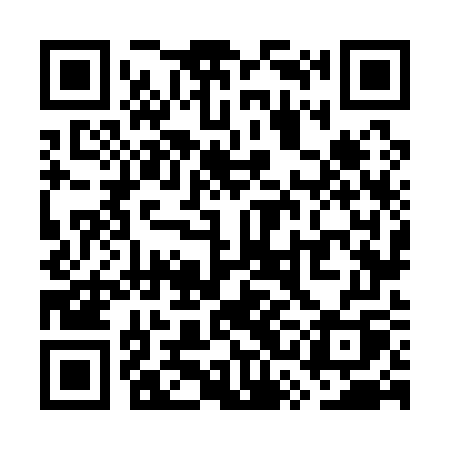 QR code for WSN17Q
