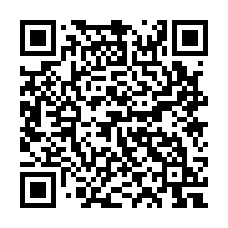 QR code for WYQ13K