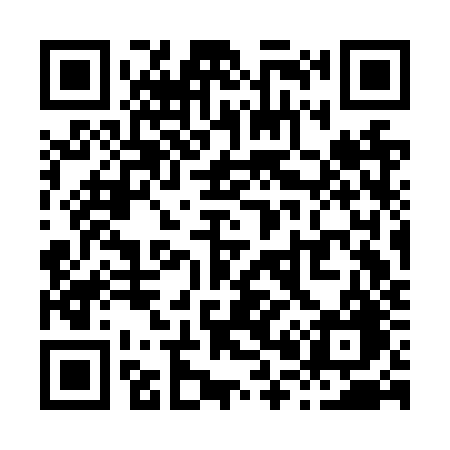 QR code for X03NZG