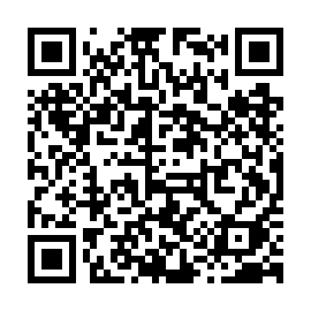 QR code for X11GAI