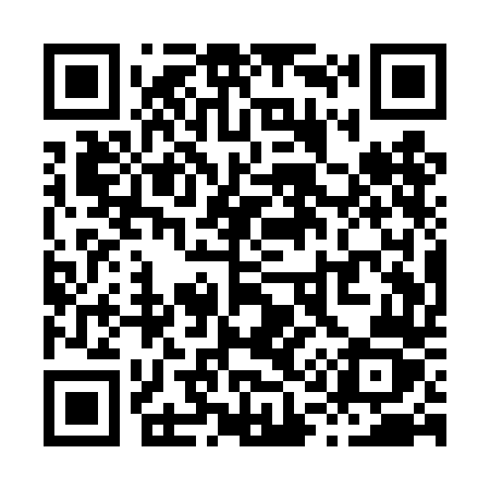 QR code for X11TDZ