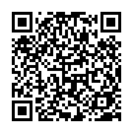 QR code for X19PIE