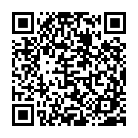QR code for X19QDM