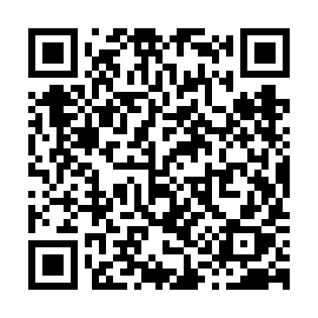 QR code for X19VIX