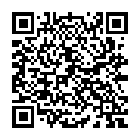 QR code for X29QBI