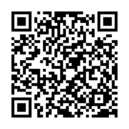 QR code for X29YRO