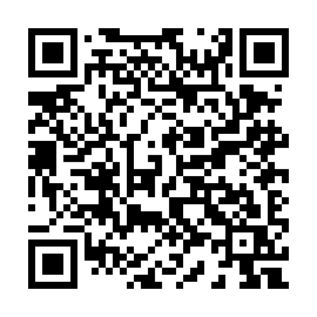 QR code for X30DIS