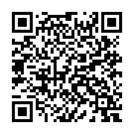 QR code for X31JAV