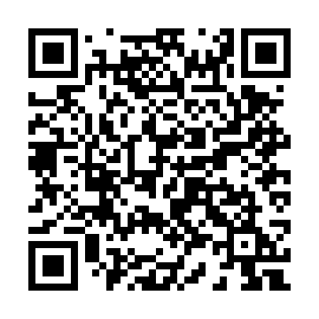 QR code for X32DSE