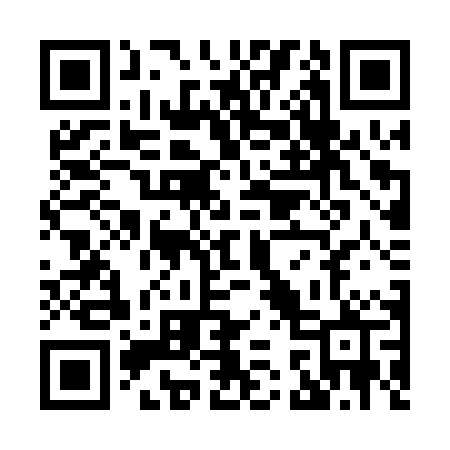 QR code for X35PPP