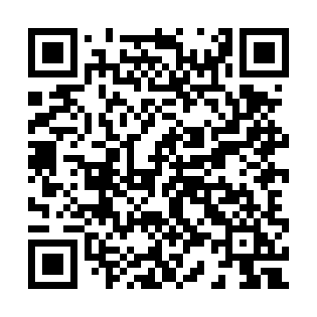 QR code for X38DXI
