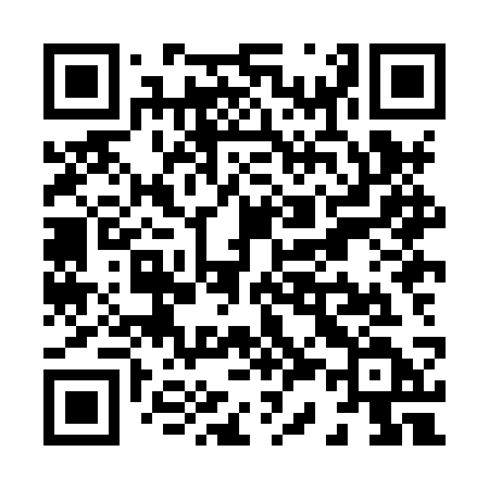 QR code for X38HSD