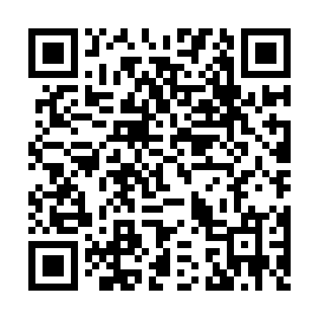 QR code for X38IOM