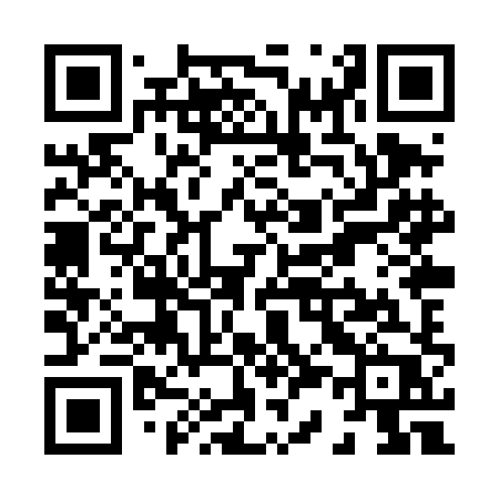 QR code for X38THP