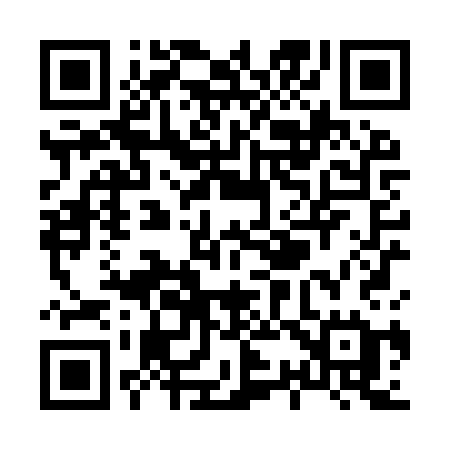 QR code for X38YSE