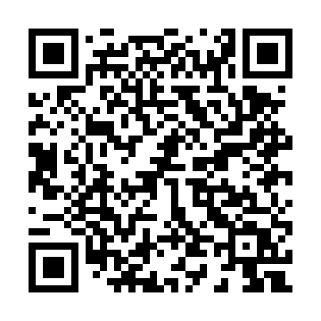 QR code for X41DUT