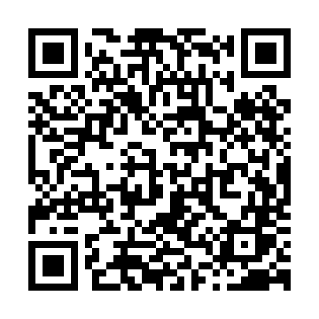 QR code for X41PNS