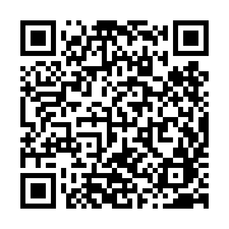 QR code for X41TIB