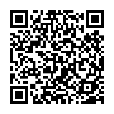 QR code for X48TEI