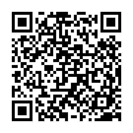 QR code for X65PDM