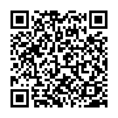 QR code for X66MSP