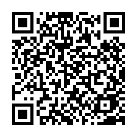 QR code for X66PEE