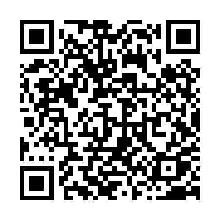 QR code for X66PPQ