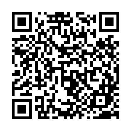 QR code for X91LLL
