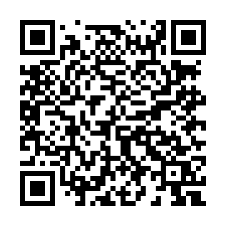 QR code for X95LGS