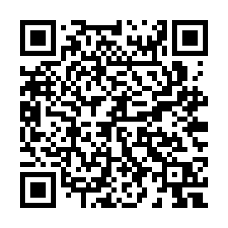 QR code for X95SCP
