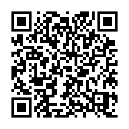 QR code for X95SJS