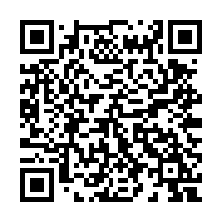 QR code for X95TPM