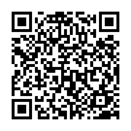 QR code for X95UCT