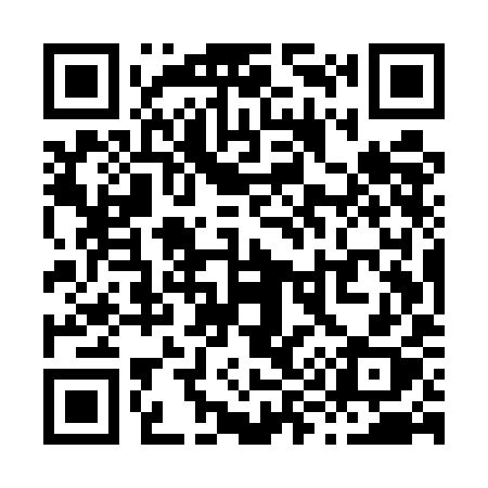 QR code for X95UIX