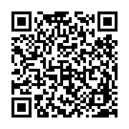 QR code for X99DFG