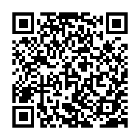 QR code for XDG98H