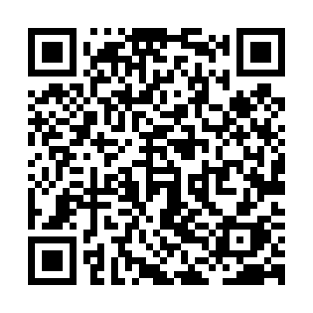 QR code for XDL43H