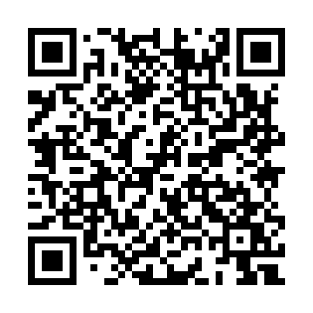 QR code for XGI95W
