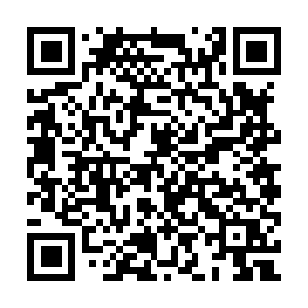 QR code for XIF85R