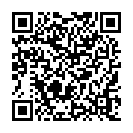 QR code for XII91N